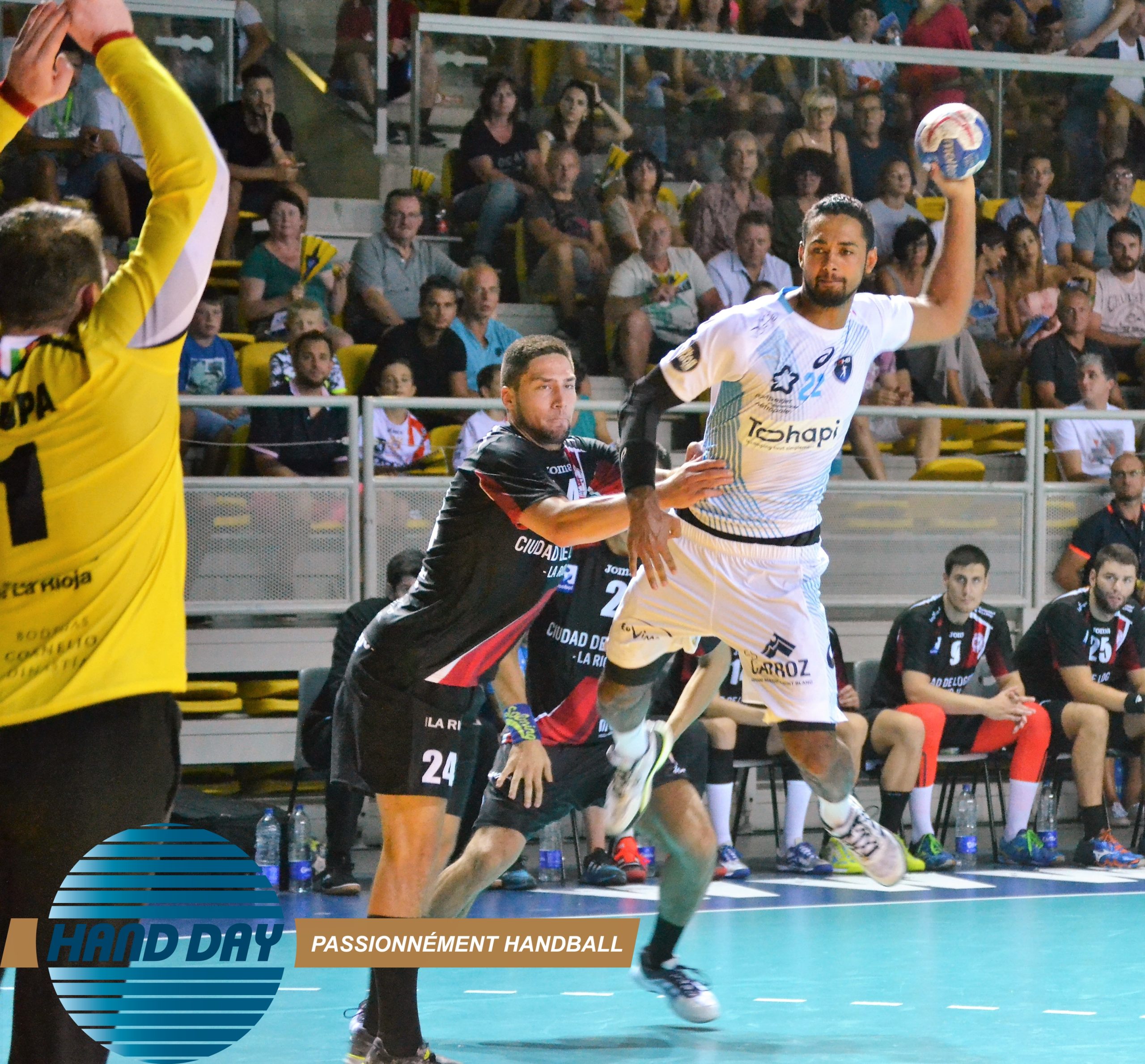 Handball : Melvyn Richardson MHB